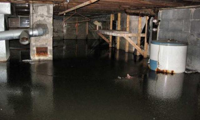 Still Freed Jan 2013 - IMG_1765b 1280.jpg