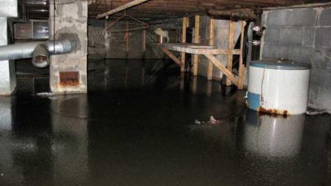 Still Freed Jan 2013 - IMG_1765b 1280.jpg