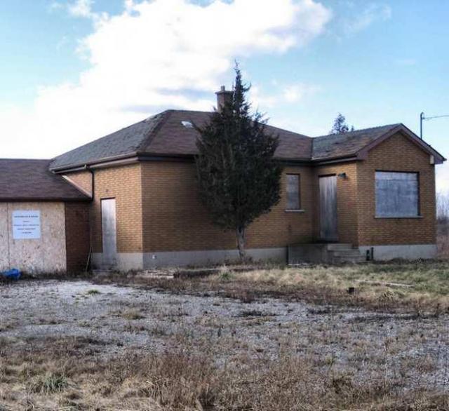 Still Freed Jan 2013 - IMG_1770-OAP.jpg