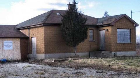 Still Freed Jan 2013 - IMG_1770-OAP.jpg