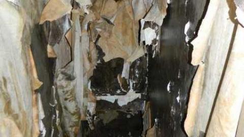 Never Give Up Hope - DSCN5510.jpg