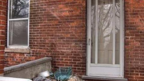 Feb 2013 - Mt-Wolfe-Farm80.jpg