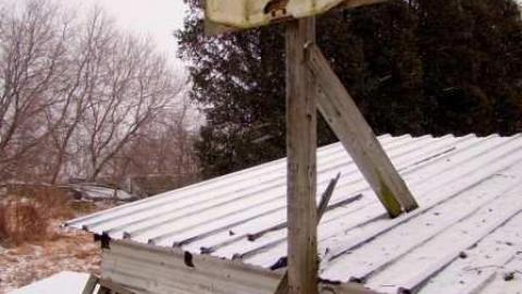 Feb 2013 - Mt-Wolfe-Farm113.jpg