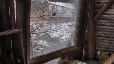 Feb 2013 - Mt-Wolfe-Farm82.jpg