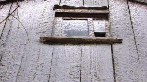 Feb 2013 - Mt-Wolfe-Farm56.jpg