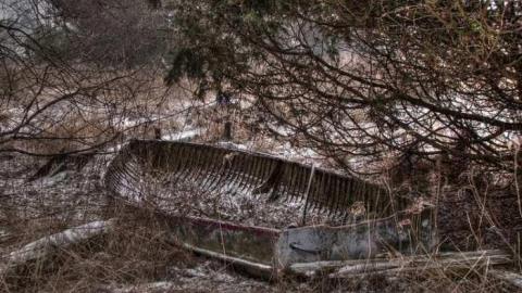 Feb 2013 - Mt-Wolfe-Farm114.jpg