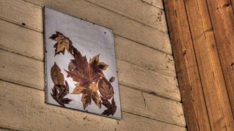 Feb 2013 - Mt-Wolfe-Farm89.jpg