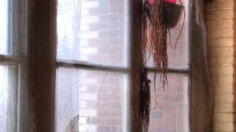 Feb 2013 - Mt-Wolfe-Farm91.jpg