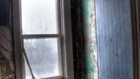 Feb 2013 - Mt-Wolfe-Farm60.jpg