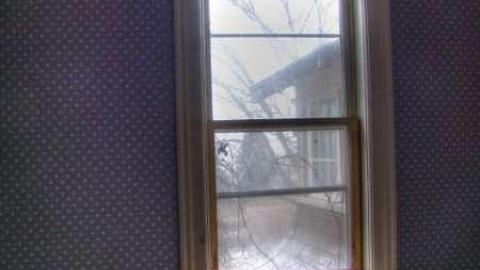 Feb 2013 - Mt-Wolfe-Farm93.jpg