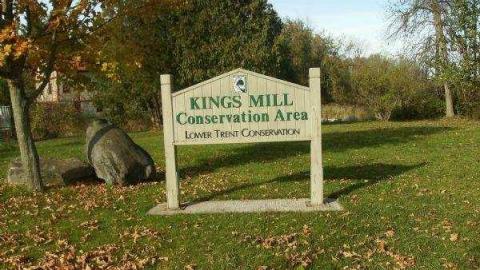 Gallery - Kings-Mill5.jpg