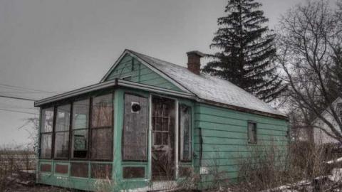 For Ever Green - Go-Green....or-Not.7.jpg