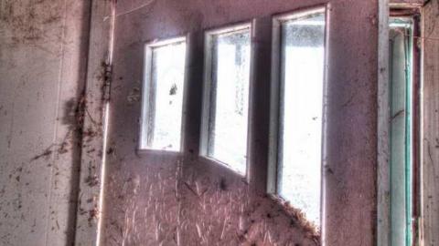 For Ever Green - Go-Green....or-Not.2.jpg