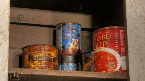 For Ever Green - Go-Green....or-Not.10.jpg