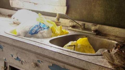 For Ever Green - Go-Green....or-Not.4.jpg