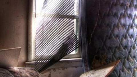 For Ever Green - Go-Green....or-Not.5.jpg