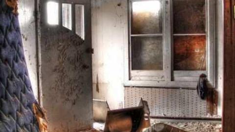 For Ever Green - Go-Green....or-Not.12.jpg