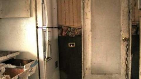 For Ever Green - Go-Green....or-Not.9.jpg