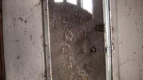 For Ever Green - Go-Green....or-Not.6.jpg