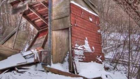 Butterfly Migration Shack photo 4