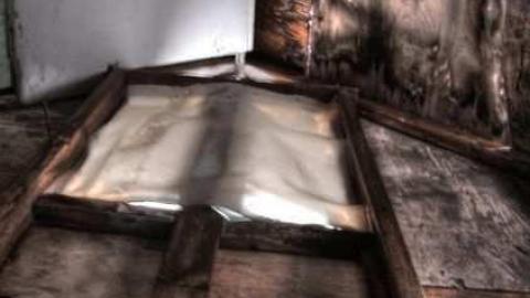 Butterfly Migration Shack - Puslinch, Ontario