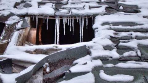 Butterfly Migration Shack photo 2