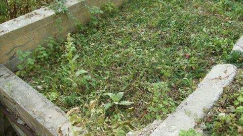 Gallery - Kings-Mill44.jpg