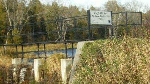 Gallery - Kings-Mill19.jpg