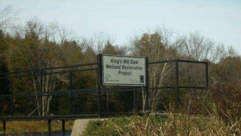 Gallery - Kings-Mill20.jpg