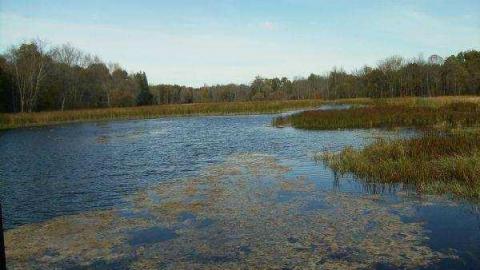 Gallery - Kings-Mill21.jpg