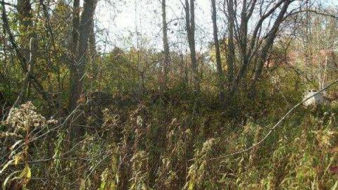 Gallery - Kings-Mill24.jpg