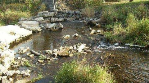 Gallery - Kings-Mill31.jpg