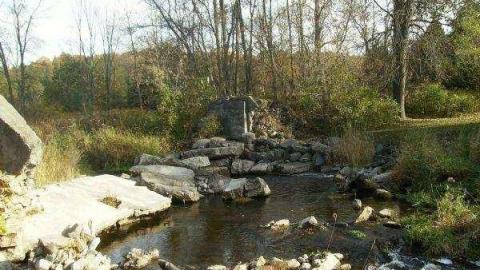 Gallery - Kings-Mill32.jpg