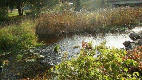 Gallery - Kings-Mill33.jpg