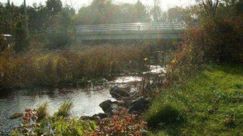 Gallery - Kings-Mill34.jpg