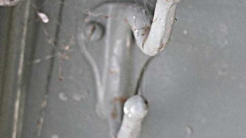 coming down  - Rideau-Correctional--Treatment75.jpg