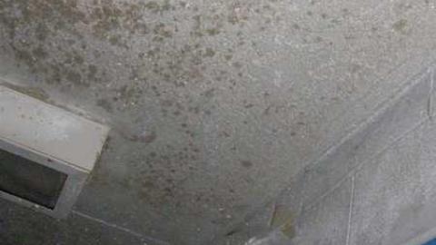 coming down  - Rideau-Correctional--Treatment83.jpg