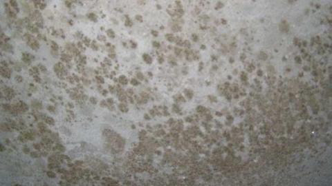 Photo from coming down 