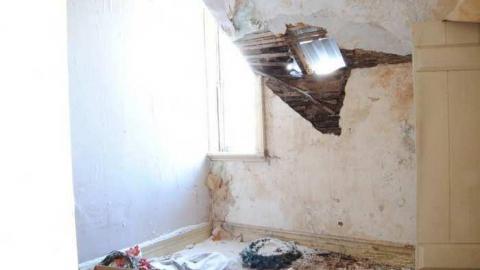 snow apples - City-Orchards165.jpg