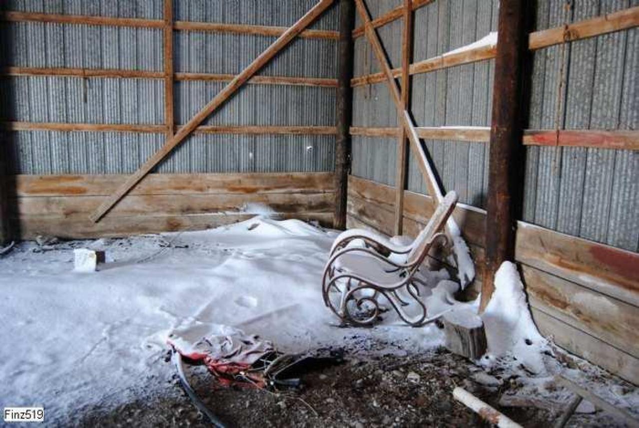 snow apples - City-Orchards171.jpg