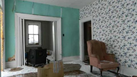 Polka Dot Door Gang House photo 4