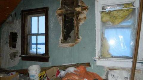 Polka Dot Door Gang - Polka-Dot-Door-Gang-House24.jpg