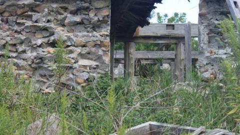 Photo from Don's last photos with his mom