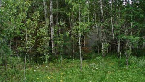 Burchell Lake, Ontario - Burchell-Lake-(ghost-town)17.jpg