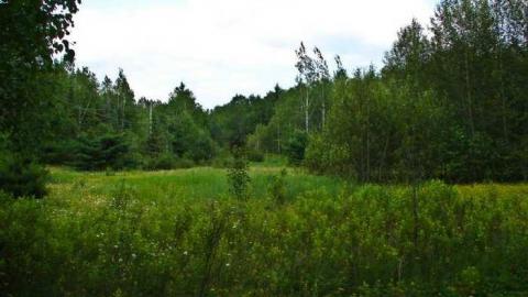 Burchell Lake, Ontario - Burchell-Lake-(ghost-town)2.jpg