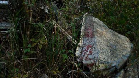 Nor'westers Plane Crash photo 5