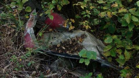 Mt Godfrey Plane Crash - Norwesters-Plane-Crash12.jpg