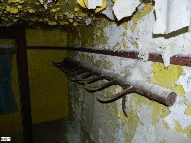 Walkerton Stone House photo 4