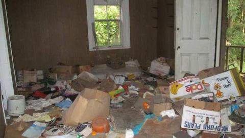 Photo from Before the boards