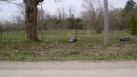 Uhthoff (ghost town) photo 2